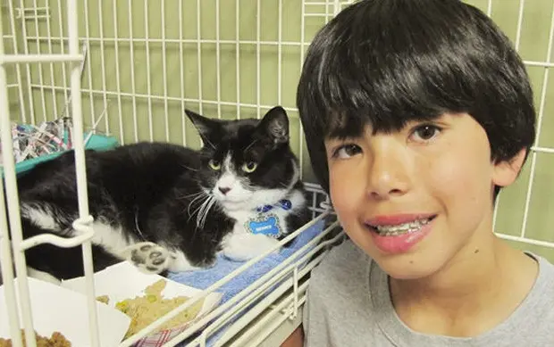 Luigi Malo afirma que o gato preso em árvore deu sorte durante as partidas, e animal acabou virando mascote do time de futebol (Foto: Divulgação/Delaware County SPCA)