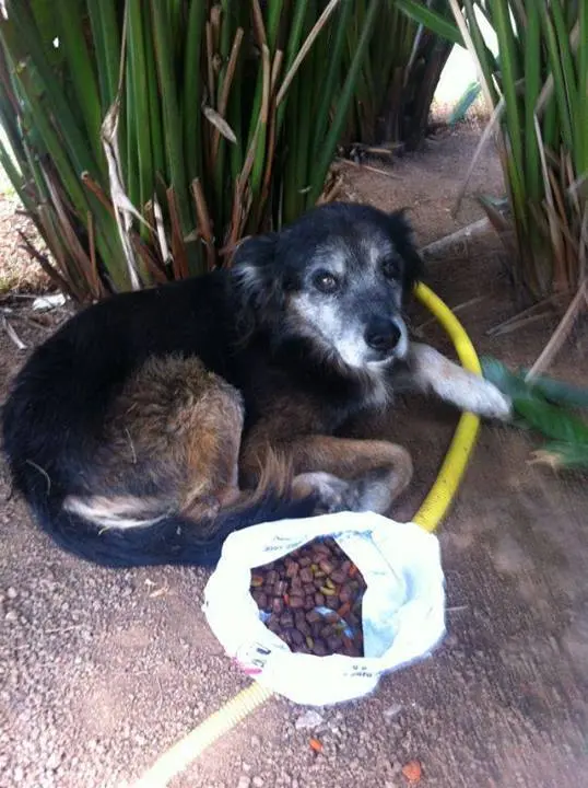 (Foto: Divulgação)