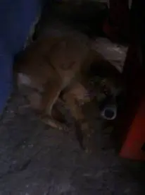 Foto/Divulgação