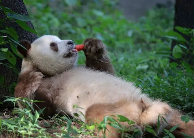 (Foto: China Daily/Reuters)