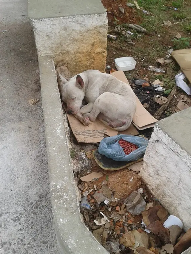 Foto/Divulgação