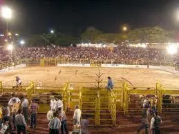 rodeio-Osasco-SP