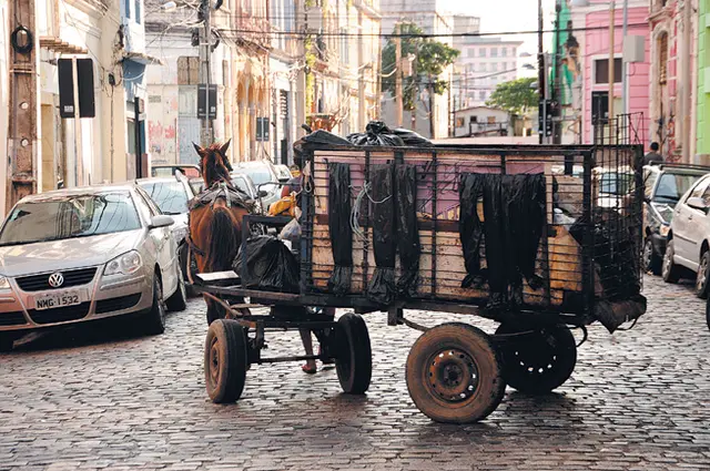 Foto: Hesíodo Góes/Folha de Pernambuco