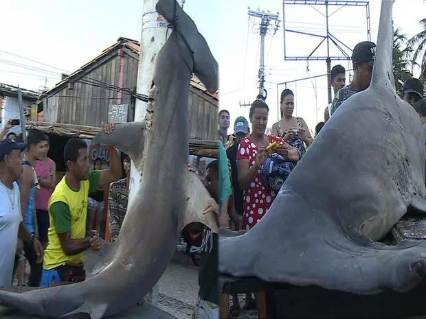 (Foto: Reprodução/TV Sergipe)