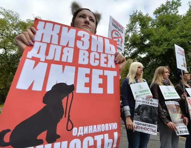 (Foto: AFP Photo/Sergei Supinsky)
