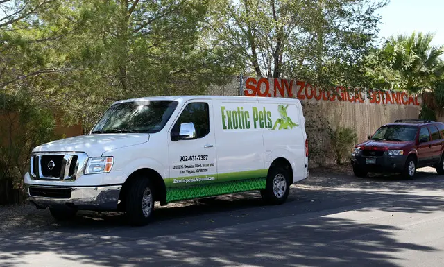 Van de transporte para a retirada dos animais do local. (Foto: Justin Yurkanin/Las Vegas Review-Journal)