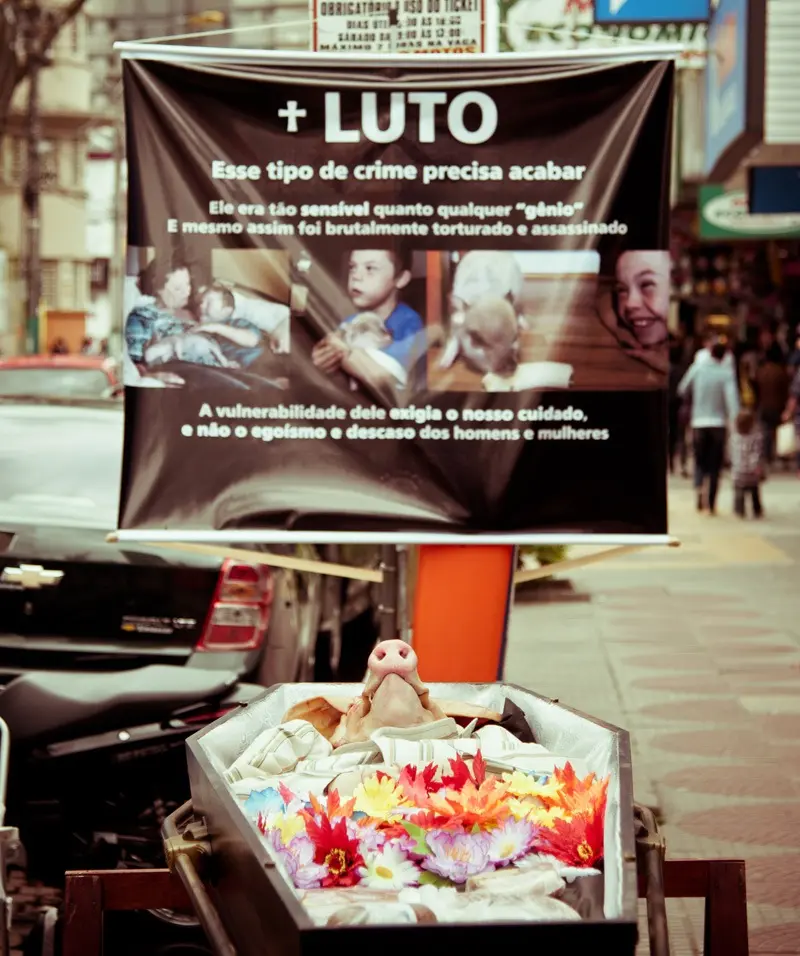 (Foto: Fotógrafo Protetor)