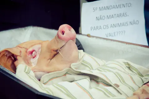 (Foto: Fotógrafo Protetor)