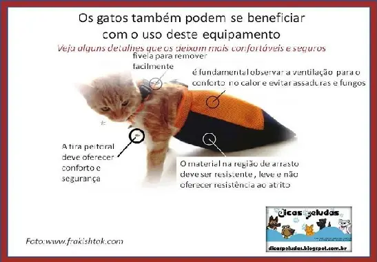 Foto: Dicas Peludas