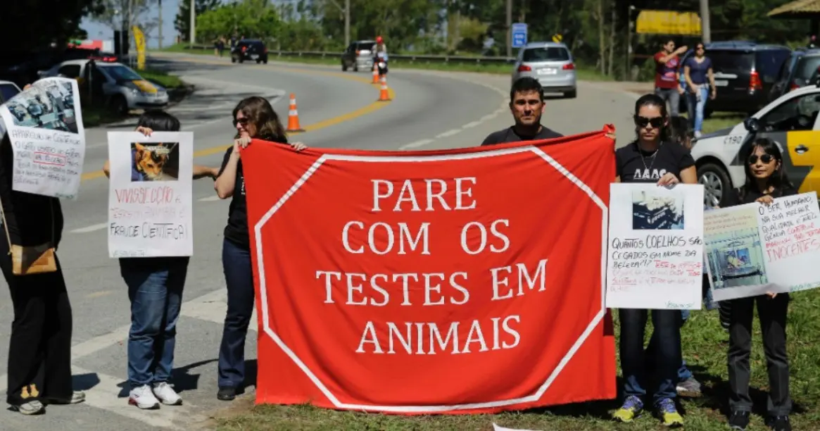 Ativistas protestam na via de acesso ao Instituto Royal contra a vivissecção (testes em animais vivos) no km 56 da rodovia Raposo Tavares, próximo a São Roque (SP), na manhã deste sábado. Na madrugada da última sexta-feira (18), ativistas invadiram o laboratório do local e resgataram 178 cães da raça beagle que eram submetidos a testes. Foto: Nelson Antoine/Fotoarena/Estadão Conteúdo