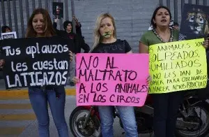 Algumas organizações civis se manifestam publicamente de maneira constante contra a crueldade animal.