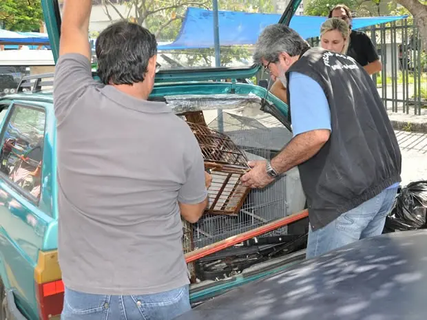 Agente durante operação em Volta Redonda (Foto: Divulgação/Prefeitura Volta Redonda)