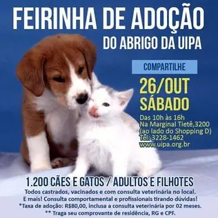 (Foto: Divulgação)