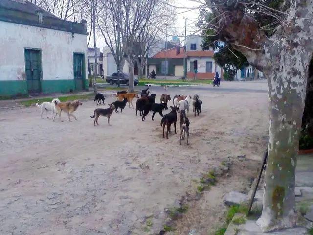 (Foto: Reprodução Internet)