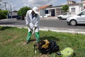 (Foto: Divulgação)