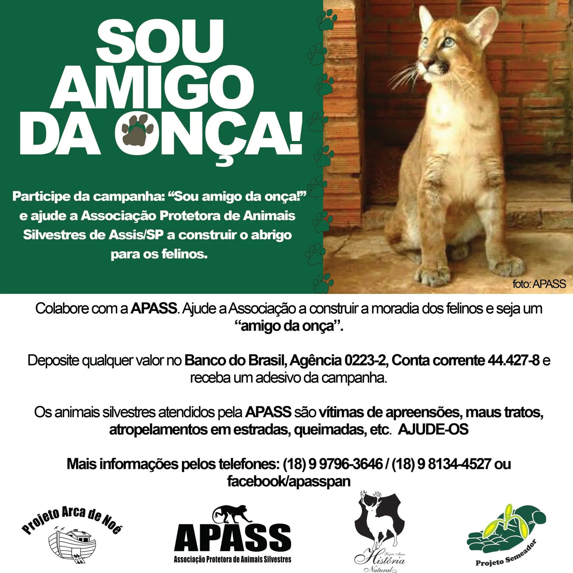 Foto: Divulgação