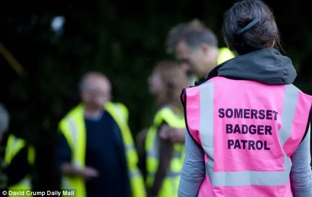 Oposição: Ativistas da Patrulha de Texugos de Somerset estão protestando contra os atiradores da aldeia de Monksilver, Somerset.