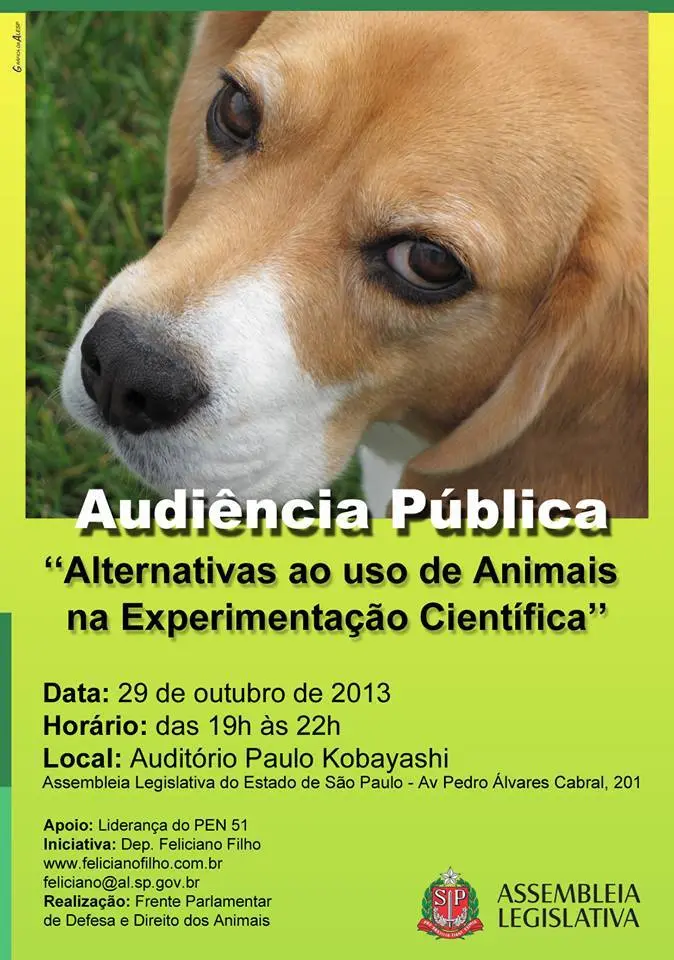 audiencia-pública