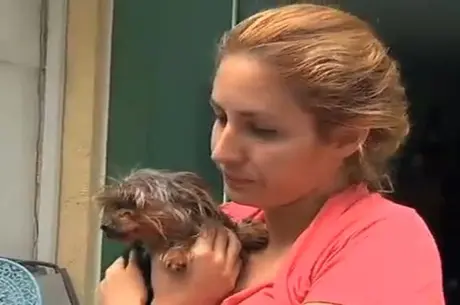 Belinha foi envenenada, mas foi socorrida e conseguiu sobreviver (Foto: Reprodução Rede Record)