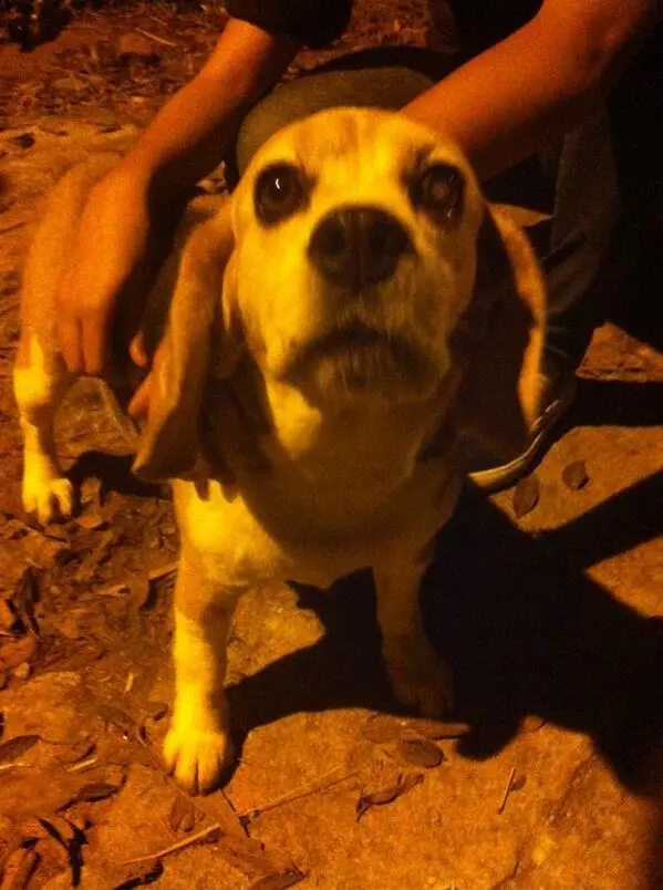 (Foto: Reprodução Instagram)