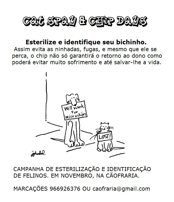 (Foto: Divulgação)
