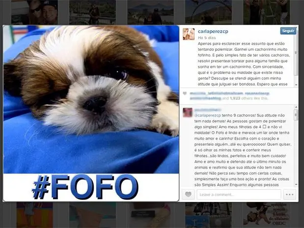 Carla Perez, ex-dançarina do grupo É o Tchan, poucos dias depois do incidente no Instituto Royal, anunciou em seu programa de TV infantil, exibido na Bahia, que iria sortear um filhote de cachorro, o que revoltou os ativistas (Foto: Instagram / Reprodução)