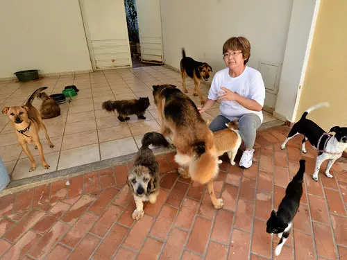 Célia Korin, 51 anos, explica que fará uma verdadeira operação "arca de Noé" na noite de amanhã. (Foto: Divulgação/ Folha da Região).