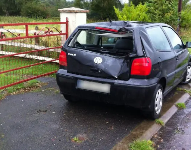 Batida: Acredita-se que o Polo da Volkswagen estava estacionado quando foi atingido pelo cavalo.