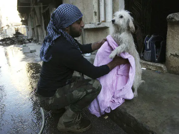 Rebelde sírio com cachorro (Foto: AFP)