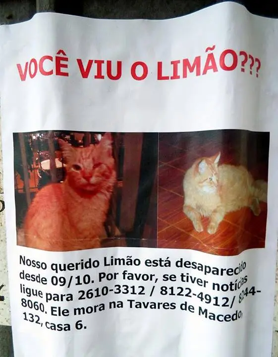 (Foto: Reprodução Facebook)