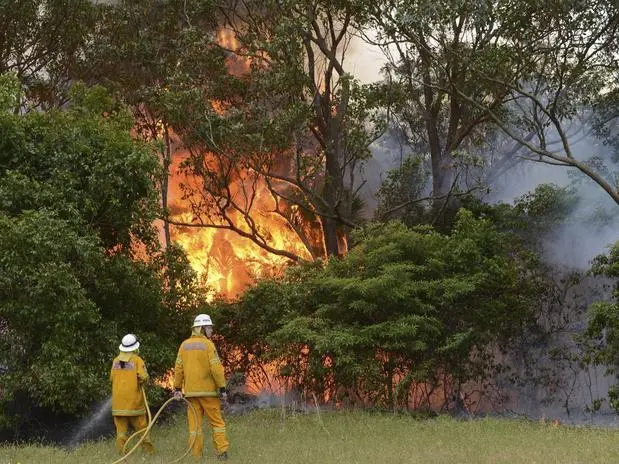 (Foto: David Gray / Reuters)