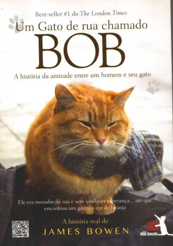 (Foto: Divulgação)