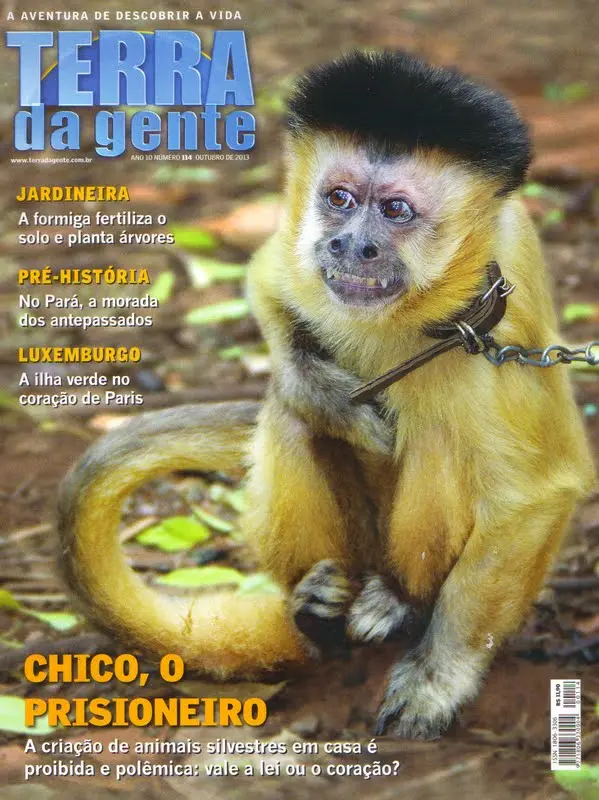 (Foto: Revista Terra da Gente)