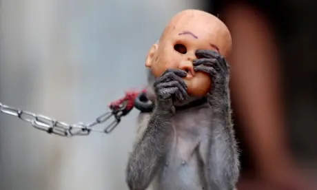 Indonesia Monkey Business