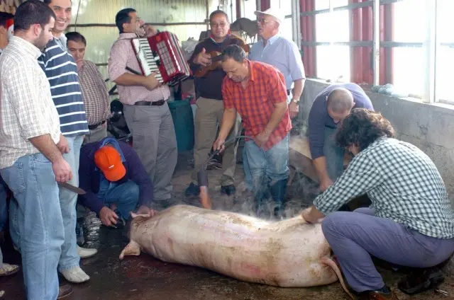 (Foto: Divulgação)