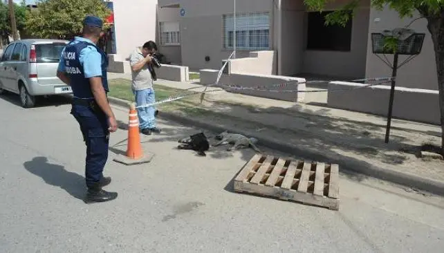 Foto: Municipalidad de Monte Carlo