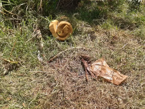 Pedaços de pau e colchão de espuma foram encontrados ao lado do corpo da égua  (Foto: Divulgação/Secretaria do Meio Ambiente de Sertãozinho)