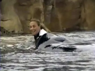 A treinadora Dawn Brancheau com a orca Tilikum. (Foto: AP)
