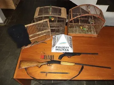 pássaros