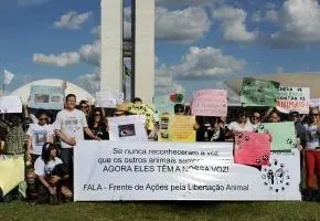 Manifestantes protestaram em frente ao Congresso contra testes em animais (Foto: Gabriela Korossy/Câmara dos Deputados)
