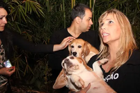  Beagles foram retirados de instituto durante a madrugada (Foto: Edison Temoteo/Futura Press/Estadão Conteúdo)