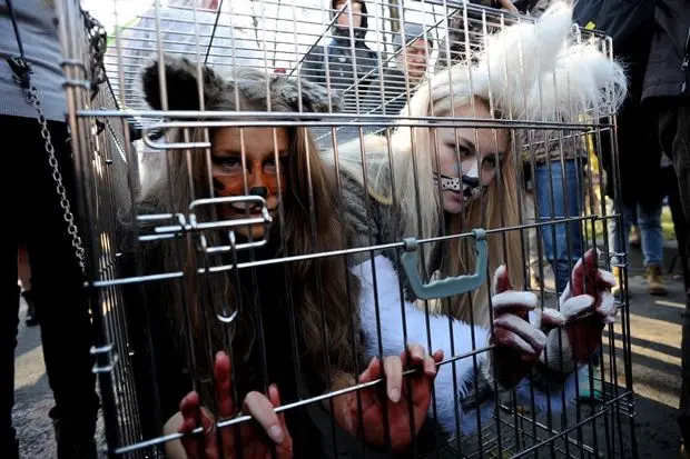 Mulheres se vestem de animais em protesto (Foto: Olga Maltseva/AFP)
