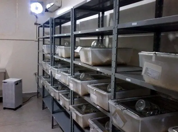 Local onde ficam os ratos utilizados como cobaias no Instituto Royal  (Foto: Elisângela Marques/ G1)