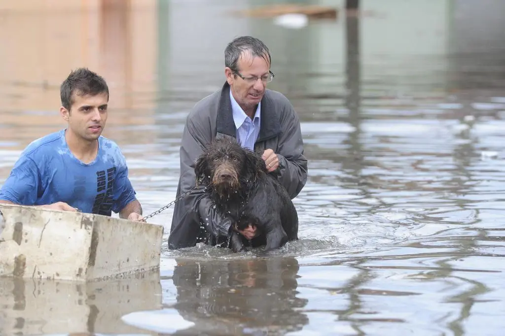 (Foto: Ronaldo Bernardi, Agência RBS )