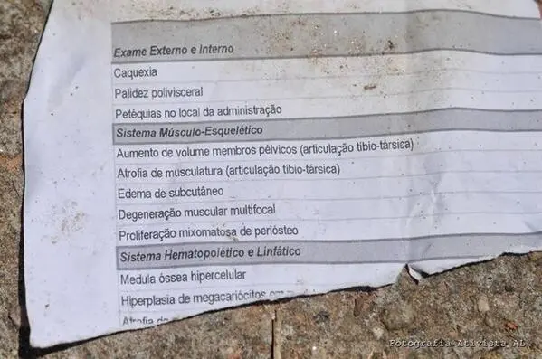 Relatório de efeitos colaterais encontrado no lixo da empresa (Foto: Reprodução Instagram) 