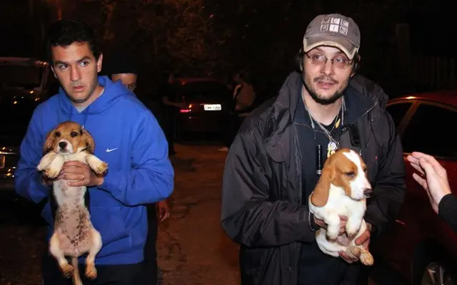 Manifestantes resgatando animais que eram usados para testes. (Foto: Reprodução/IG)