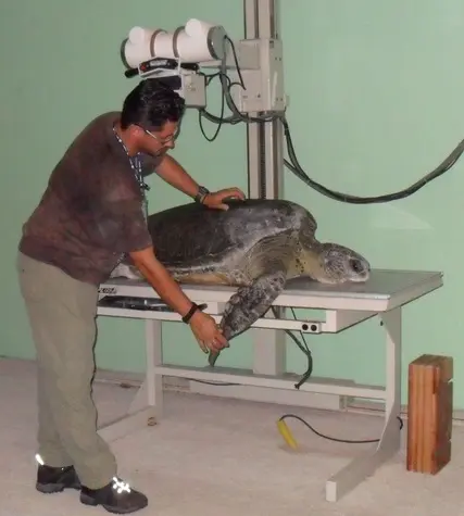 Foto: Divulgação/Biota