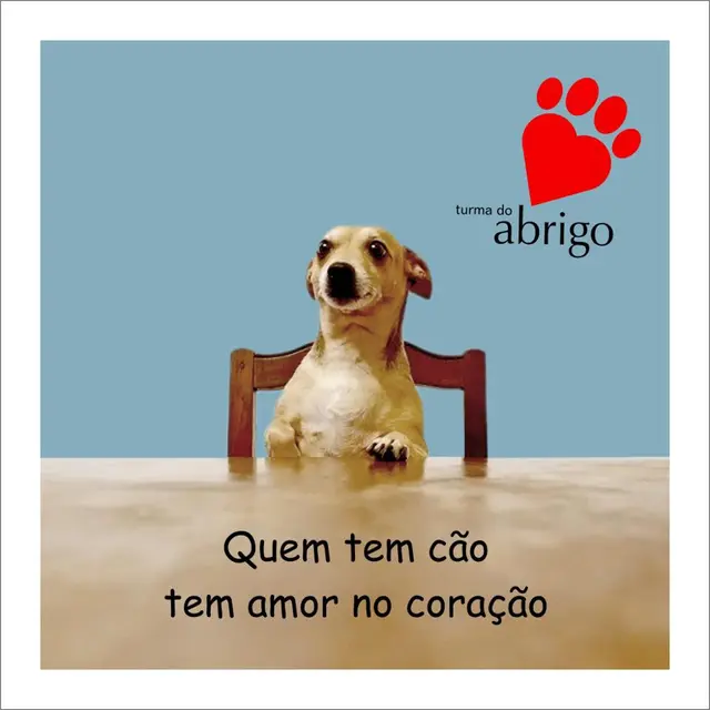 ONG Turma do Abrigo (Foto: Reprodução)
