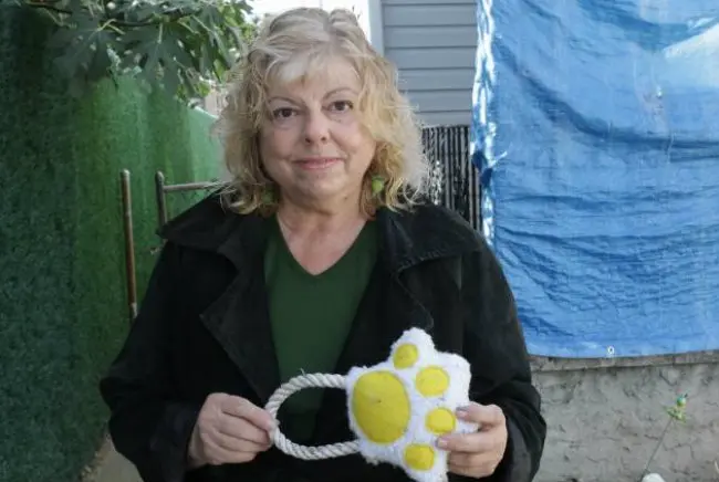 Tutora segura um brinquedo do gatinho (Foto: Reprodução/NY Daily News)