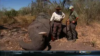 após matar o elefante. (Foto: Reprodução)